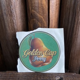 Golden Cap Perry...